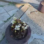 Apartament студио еми