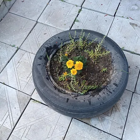 студио еми アパート チェペラレ