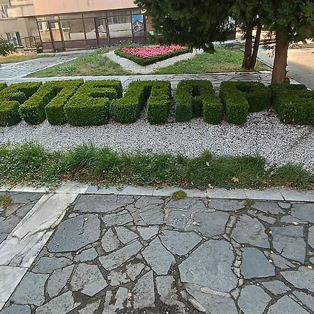 студио еми * チェペラレ