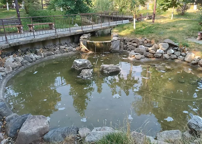 Daire студио еми