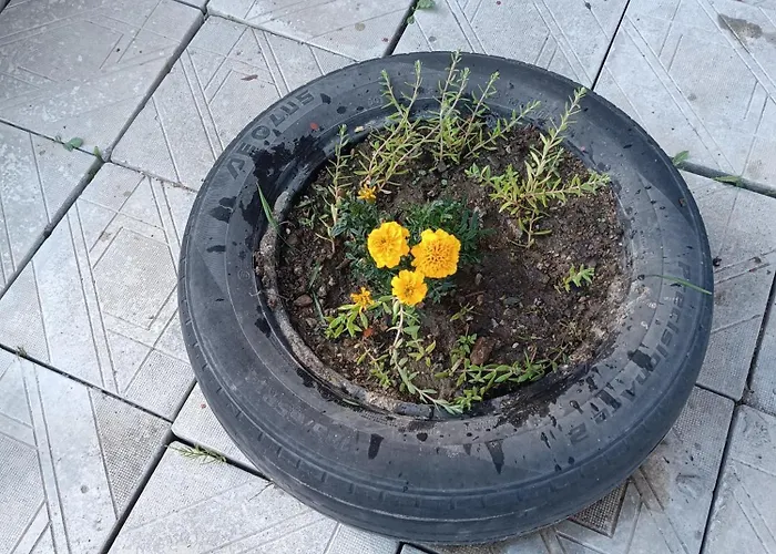 студио еми Daire Chepelare